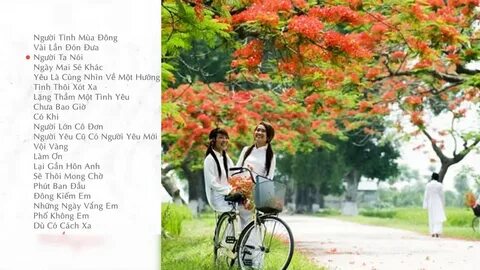 Hotspot Matrix và Xuất hiện phim Việt dở nhất 2025, netizen than trời “để tiền ăn bát phở_Facebook Reels video ngắn