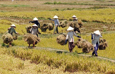 Sự Bùng Nổ Của Video Ngắn và Trí Tuệ Nhân Tạo: Vai Trò Thiết Yếu Của Đào Tạo Kỹ Năng Sáng Tạo Nội Dung_video phỏng vấn khách hàng