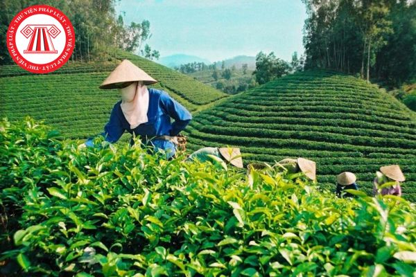 Cách Khởi Nghiệp Kiếm Tiền Bán Thời Gian Dành Cho Người Mới_Hướng dẫn tạo nội dung