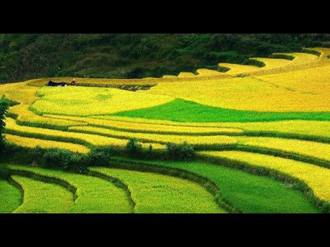 Hotspot Matrix và việc nuôi dạy trẻ: Học mới với Montessori và Glenn Doman_Ý tưởng video ngắn