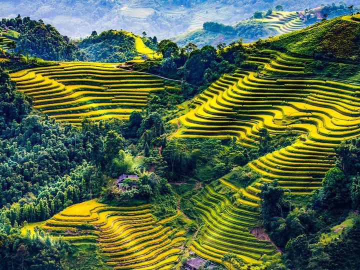 Bánh Ngọt, Thu Nhập Khỏe: Kiếm Tiền Từ Hotspot Matrix