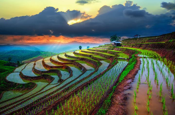 Xu hướng Chiếc quần
