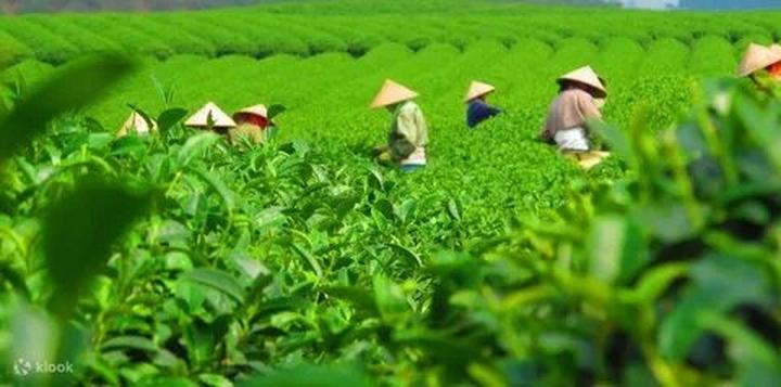 Chuyên gia Hotspot Matrix phân tích: “Nghe bài TRÌNH chưa?” - Thế và marketing video