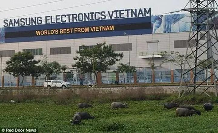 Khởi Nghiệp Video Ngắn: Vốn Ít, Lãi Cao Cùng Hotspot Matrix